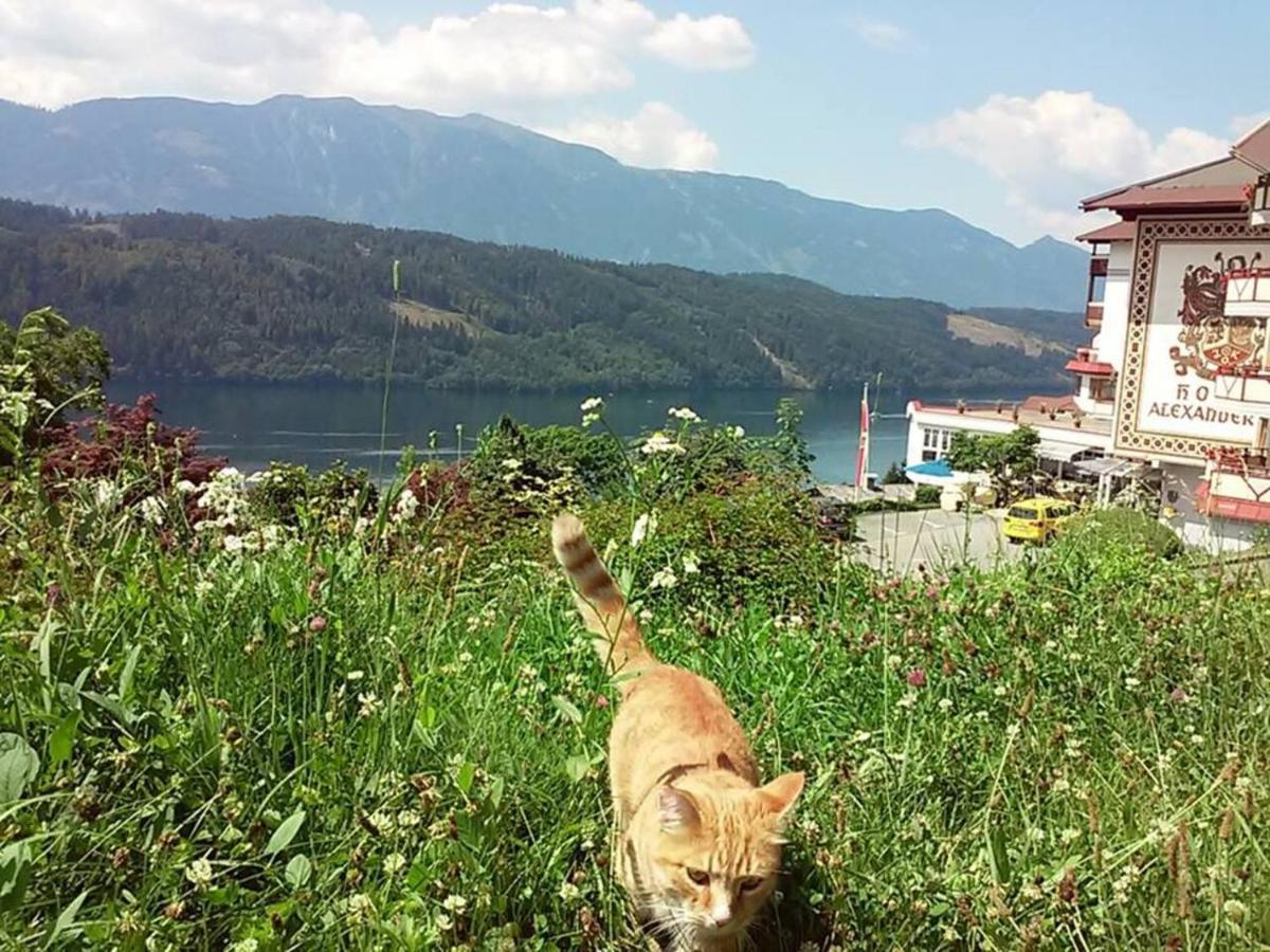 Haus Kraller-Urlaub Mit Seeblick Millstatt Exterior photo